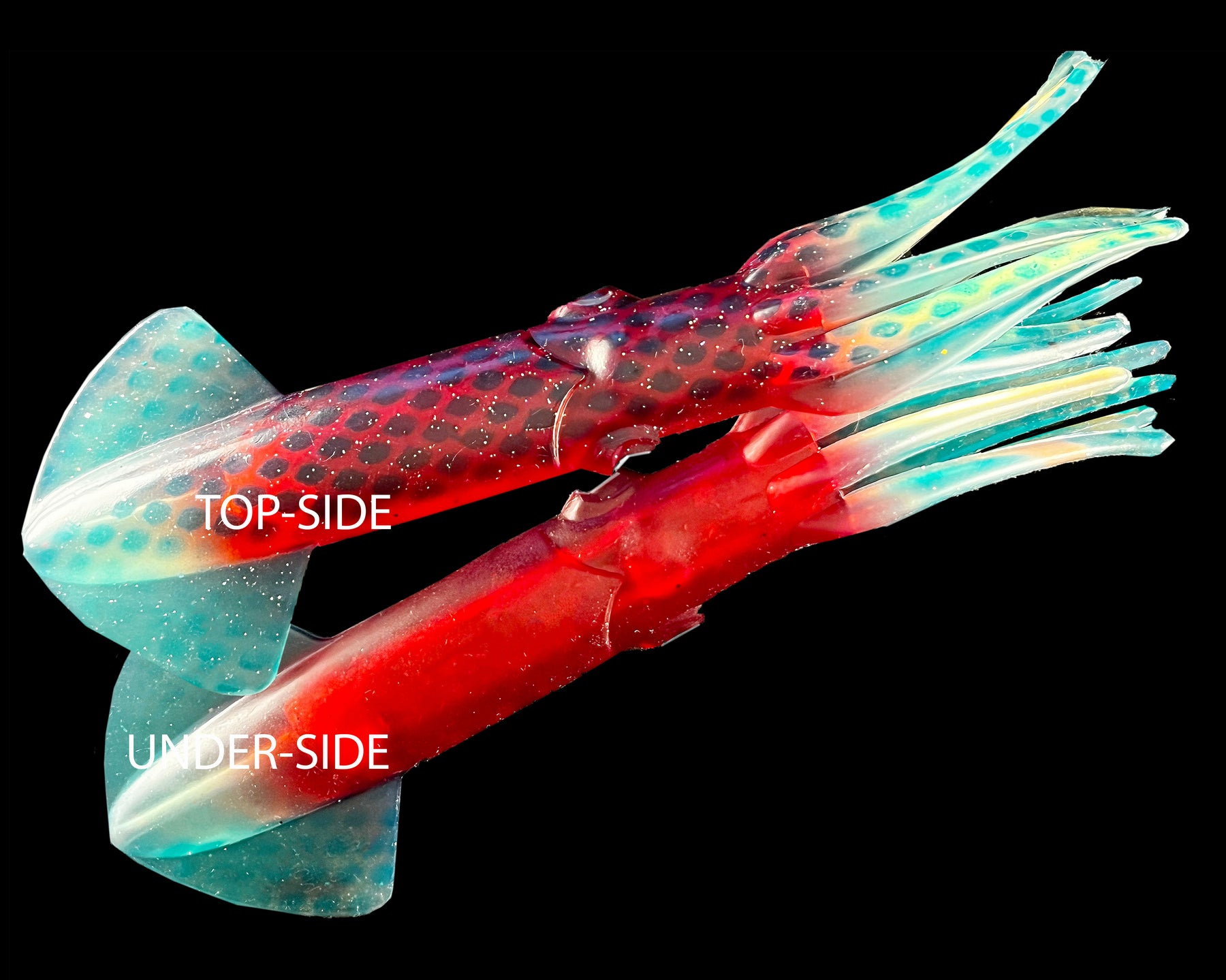 Mold Craft Squirt Squids – Blue Ocean Lures